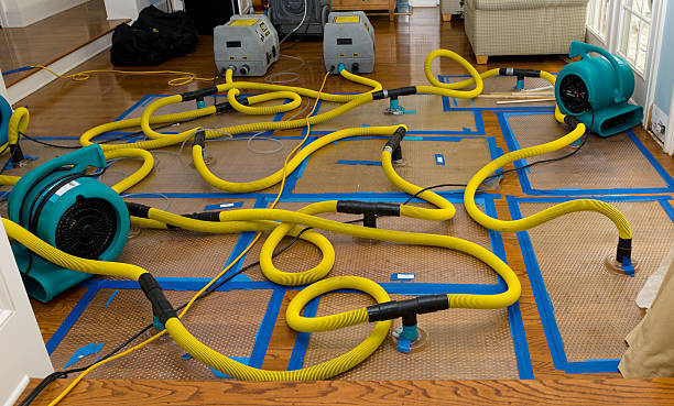 Professional Water Extraction technician working in Salem, MO